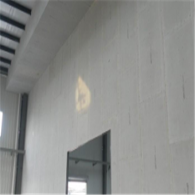 淅川宁波ALC板|EPS加气板隔墙与混凝土整浇联接的实验研讨